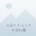 从折纸秘典开始长生山河鬼神 从折纸秘典开始长生山河鬼神