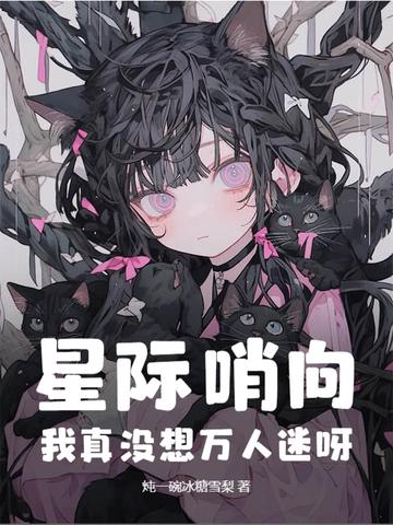 星际哨兵向导 星际哨兵向导