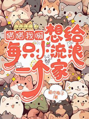 我给你一只猫 我给你一只猫