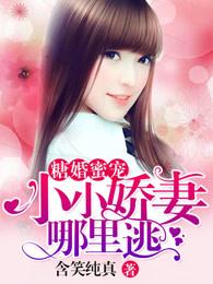 蜜糖婚宠嫁给亿万首席 蜜糖婚宠嫁给亿万首席