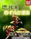 进化的四十六亿重奏防盗