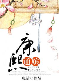 清穿之康熙通嫔 清穿之康熙通嫔