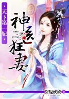 天下第一妃神医狂妻旖旎妖娆 著 天下第一妃神医狂妻旖旎妖娆 著