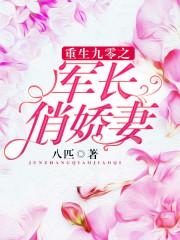 重生九零之军长俏娇妻作者八匹 重生九零之军长俏娇妻作者八匹