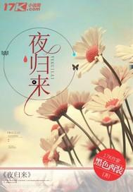 夜归来一共多少章 夜归来一共多少章