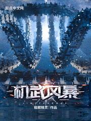 机武风暴精校版 机武风暴精校版