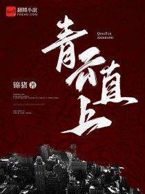 无上之君傲苍穹 无上之君傲苍穹