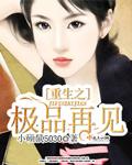 重生之极品再见 重生之极品再见