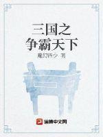 三国之争霸天下 三国之争霸天下